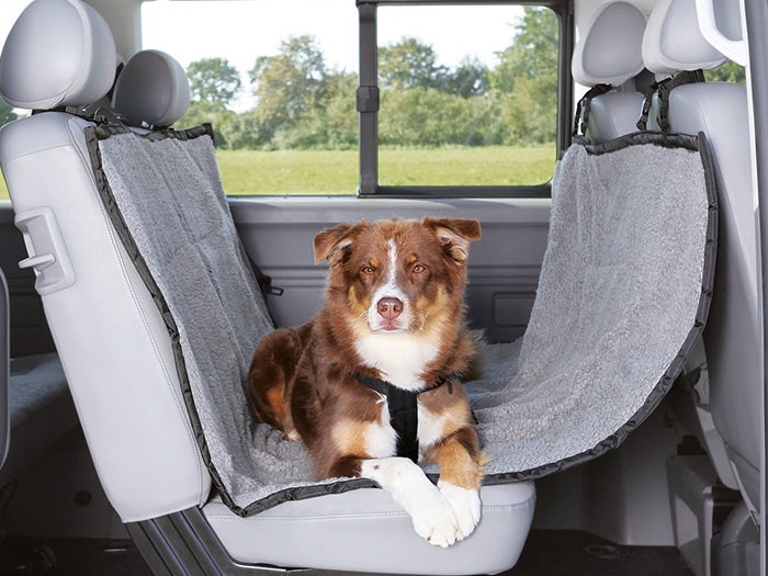  Ein Hund ruht auf den Rücksitzen, die sorgsam mit einer Autoschutzdecke bedeckt sind.