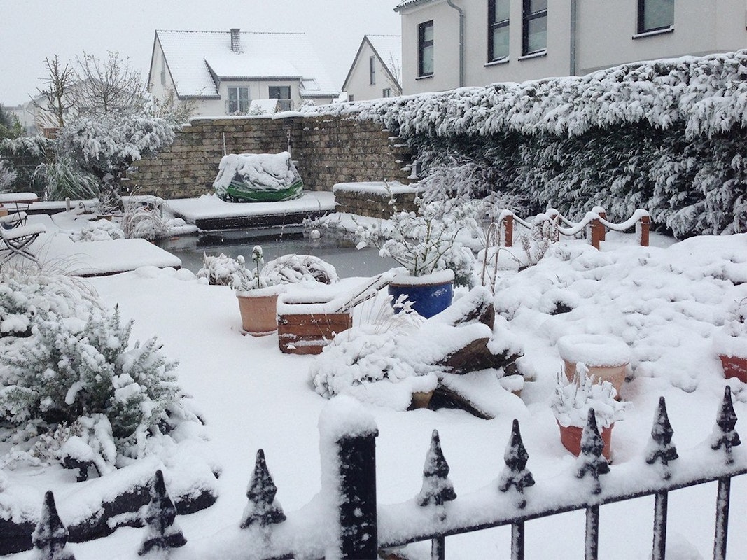 Garten im Winter mit Schneedecke
