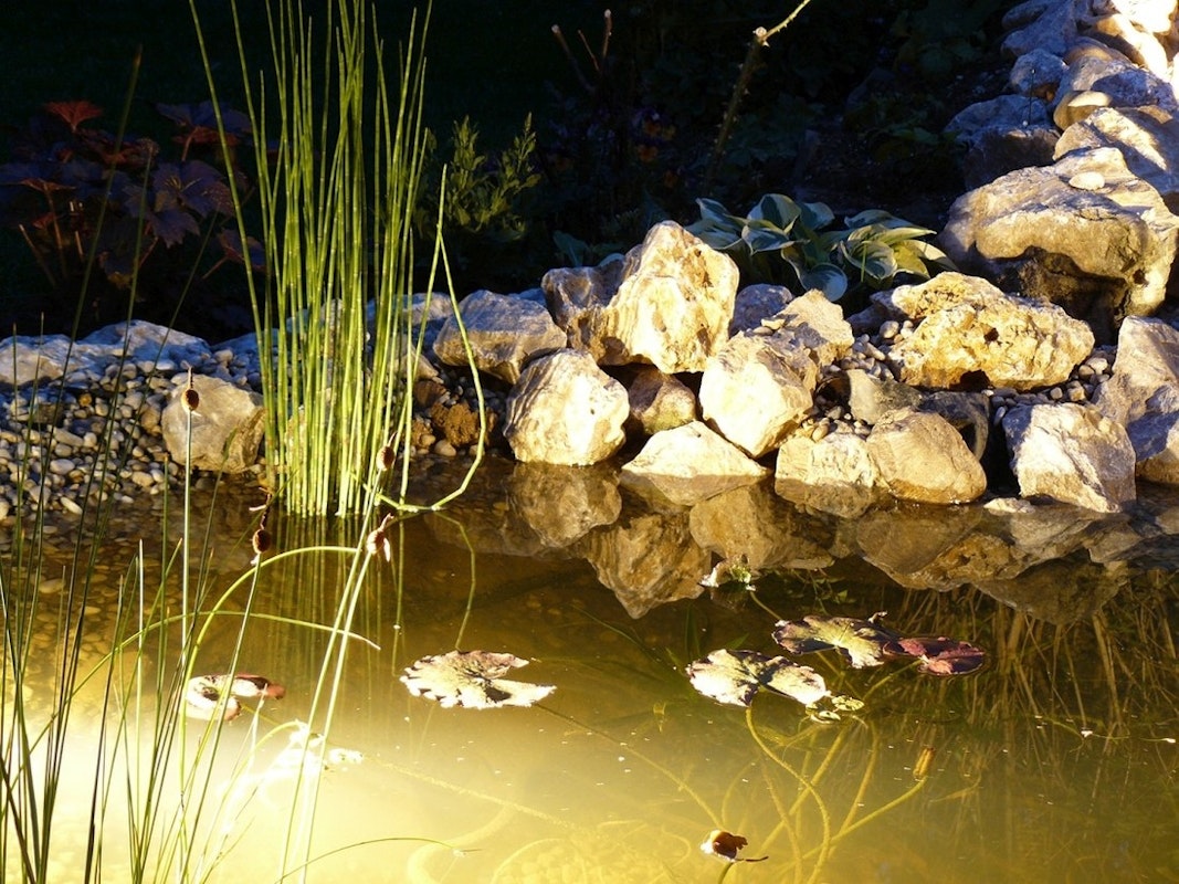 Teich bei Nacht leuchtet durch Beleuchtung unter und über Wasser.