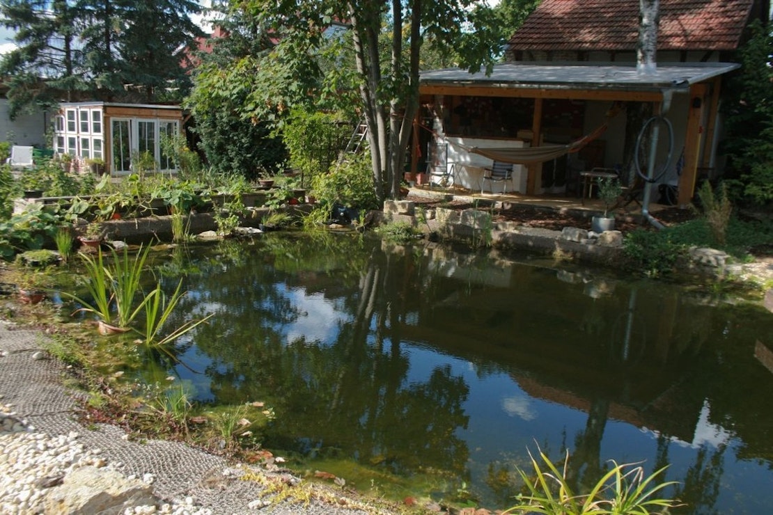 Teich und Blick auf die Hütte mit Bar