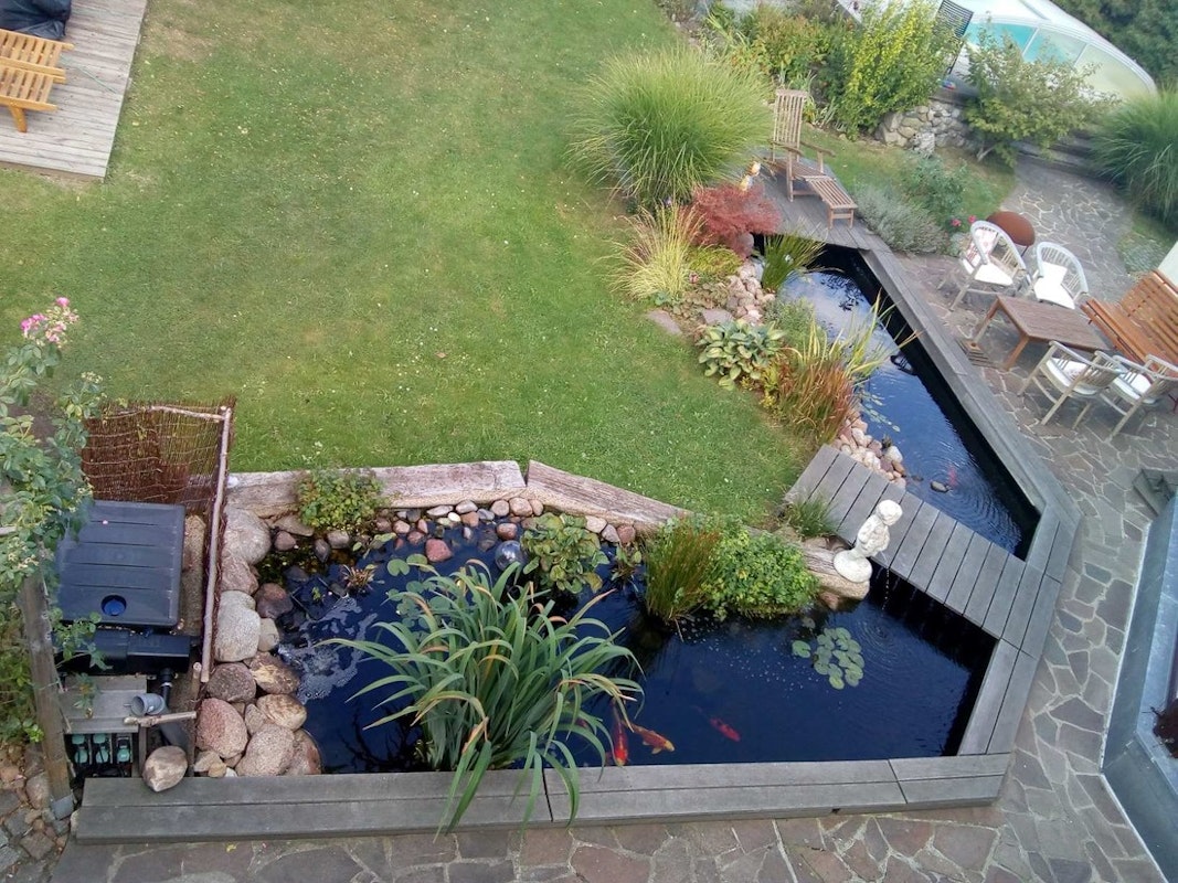 Terrasse mit Teich Pflanzen