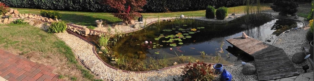 Großer Gartenteich mit Ufer