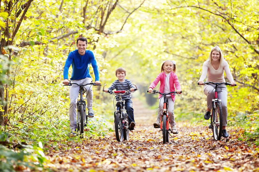Familie miz zwei Kindern fährt auf Laubboden Fahrrad im Wald