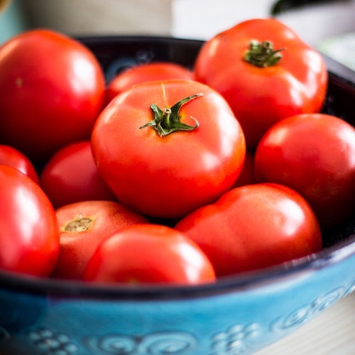 Tomatenglück & wie es gelingt