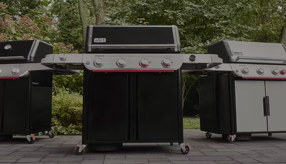 Weber Genesis-Serie Weber Genesis-Serie