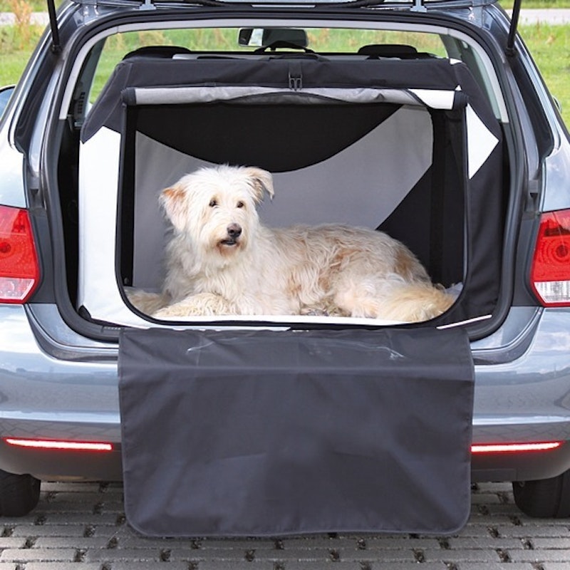 Hund sitzt in einer faltbaren Transportbox im Kofferraum