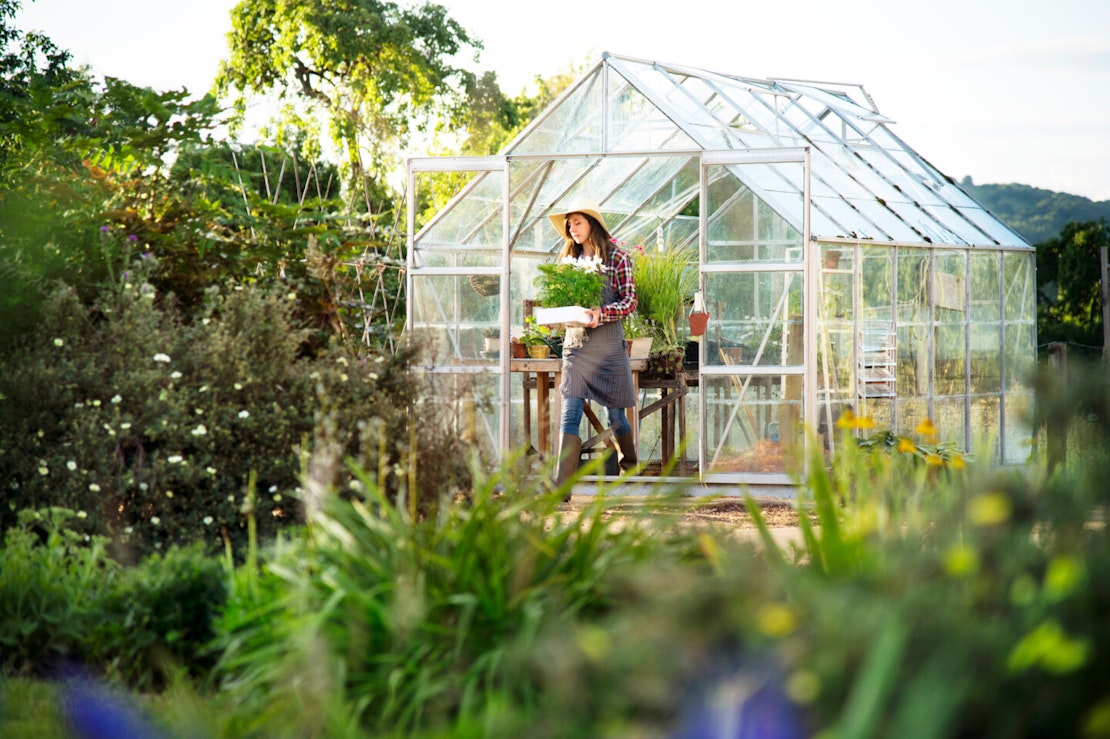 Mit dem klassischen gewächshaus im Garten machen Sie garantiert nichts falsch. Sie können vielfältig genutzt werden, zur Pflanzen- und Gemüsezucht oder auch als Wintergarten