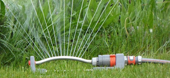 Rasenbewässerung - Bild
