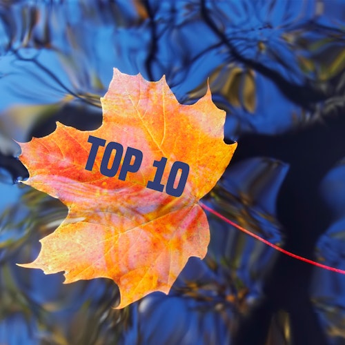 Top 10 Herbstprodukte von Oase Teichbau