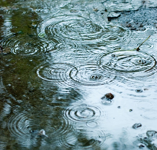 Regenwasser für den Gartenteich – ja oder nein?