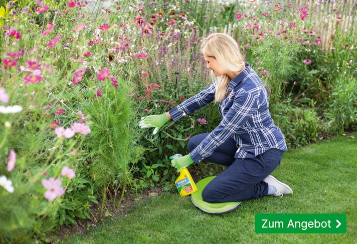 Pflanzenschutz - Gezielte Abwehr gegen Pilze, Schnecken und Unkraut