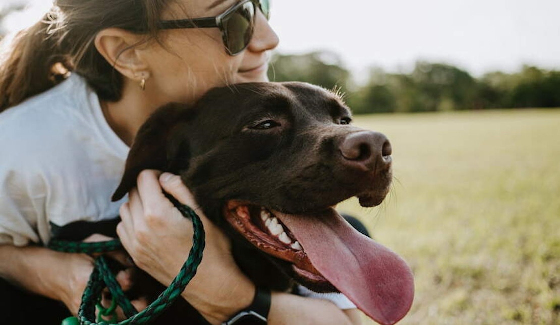 Eine Frau umarmt ihren dunkelbraunen Labrador von hinten