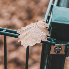 Garten im Herbst Sliderbild