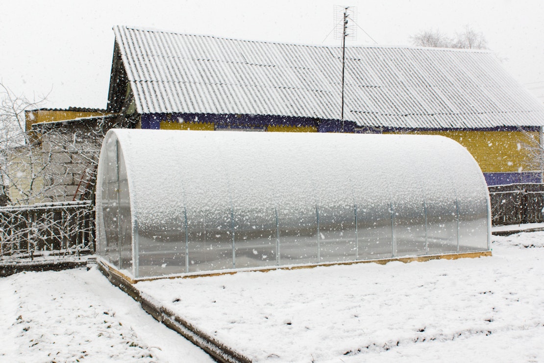 Das Gewächshaus schützt empfindliche Pflanzen vor Eis und Schnee