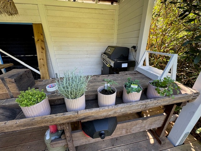 Die Grill & Chill Ecke ist fertig Grillküche mit frischen Kräutern