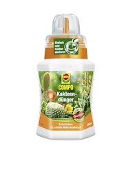 COMPO Kakteendünger 250 ml