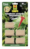 COMPO Grünpflanzen- und Palmen Düngestäbchen mit GUANOZubehörbild