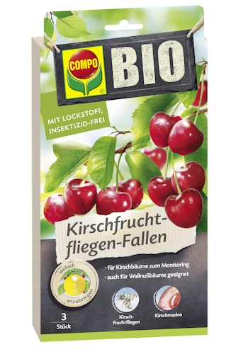 COMPO BIO Kirschfruchtfliegen-Fallen (3 Stück)