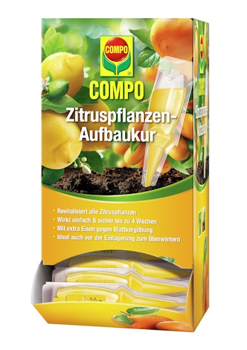 COMPO Zitruspflanzen-Aufbaukur Bild