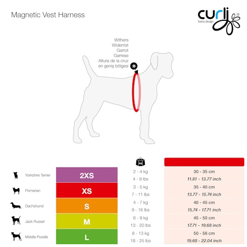 curli Magnetic Belka Comfort Geschirr schwarz Hundegeschirr