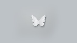 DECOFLAIR® Butterfly 2er Set