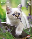 Kalender für Katzen