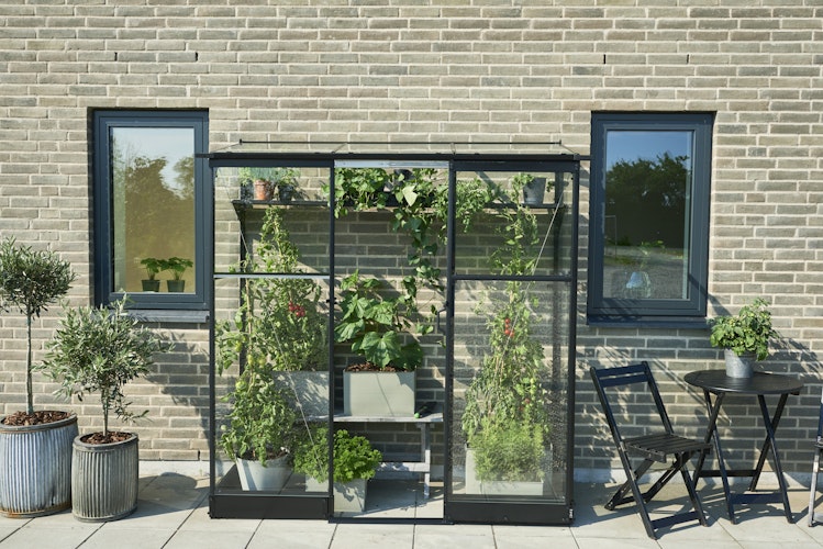 Halls Gewächshaus Qube Lean-to - 0,9 m² / 1,3 m² / 5 m² / 7,2 m² Farbe: Schwarz