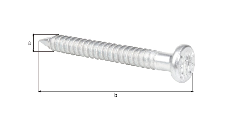 Alberts® Ankernagel verzinkt ⌀4 mm Länge 40 mm im Karton verpackt à 250 St. 