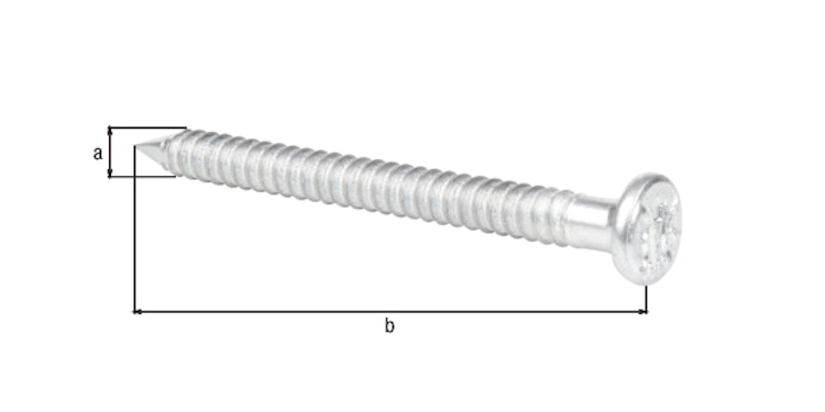 Alberts® Ankernagel verzinkt ⌀4 mm Länge 50 mm im Karton verpackt à 250 St. 