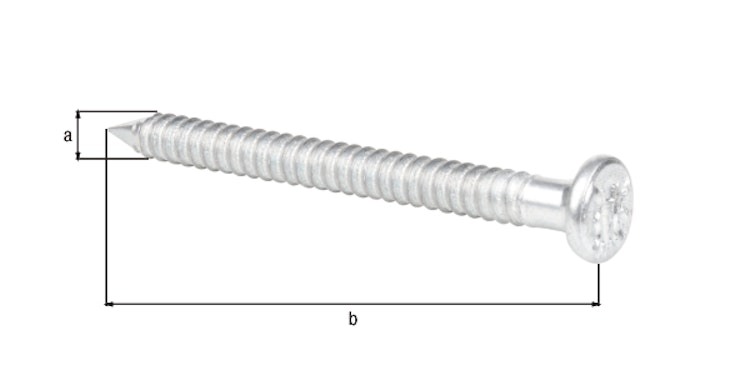 Alberts® Ankernagel verzinkt ⌀4 mm Länge 50 mm in Hängebox verpackt à 50 St. 