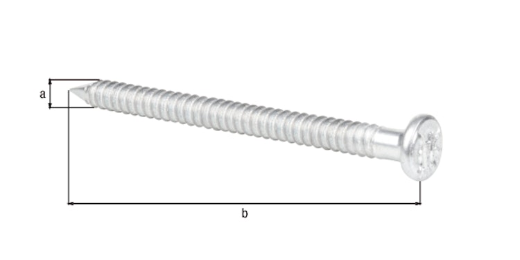 Alberts® Ankernagel verzinkt ⌀4 mm Länge 60 mm im Karton verpackt à 250 St. 