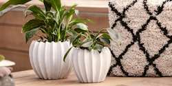 Wikholm form Design Pflanzgefäß / Blumentopf Keramik weiß ⌀ 18 x H 22 cm