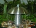 Gardenforma Wasserspiel Mushroom aus Edelstahl inkl. LED Beleuchtung weißBild