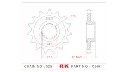 RK Antriebsritzel 5491