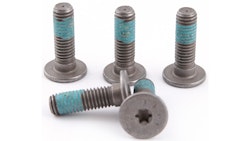 TRW Schraube 5 Stück, M8x1, 25, Schaftlänge 27 mm, Gesamtlänge 32, 6 mm, Schraube Zylinderkopf