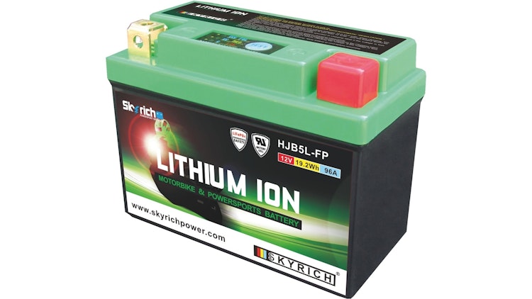 Skyrich LiFePO4 Batterie wartungsfrei