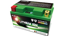 Skyrich LiFePO4 Batterie wartungsfrei
