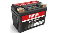 BS-Battery LiFePO4 Batterie wartungsfrei