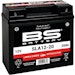 BS-Battery Batterie BS-Battery, SLA, versiegelt, GARDEN Serie, Batterie "12-20"Bild