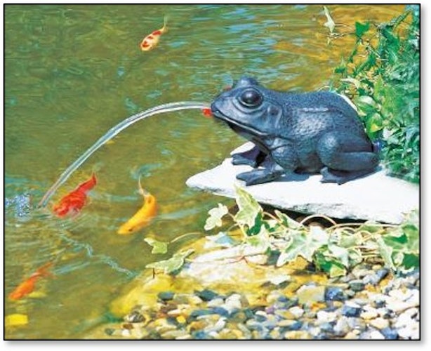 Heissner Teichfigur "Frosch" mit Teichpumpe 250 l/h, Solar Bild