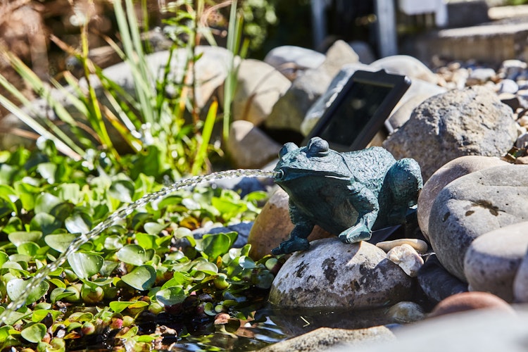 Heissner Teichfigur "Frosch" mit Teichpumpe 250 l/h, Solar Bild