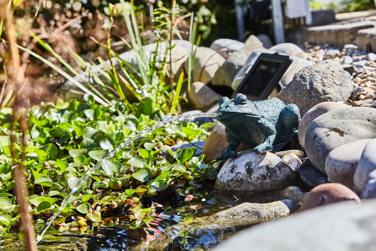 Heissner Teichfigur "Frosch" mit Teichpumpe 250 l/h, Solar Bild