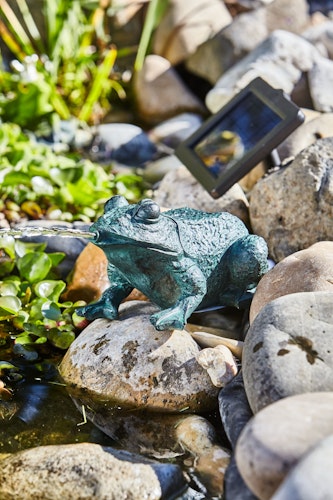 Heissner Teichfigur "Frosch" mit Teichpumpe 250 l/h, Solar Bild