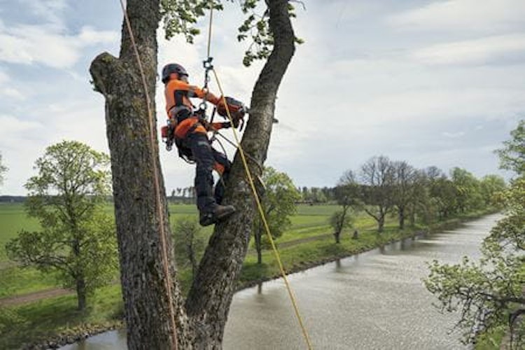 Husqvarna Kettensäge T540 XP® III 12" SN .325mini SP21G Bild