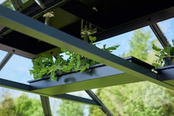 Juliana Regal zur Anbringung unter dem Dach (passend zu Orangerie, Grand Oase 13,0 & 18,8 m², Premium, Gärtner )