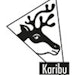 Karibu Farbdose 500 ml elfenbeinweiß RAL 1015 für AusbesserungsarbeitenBild