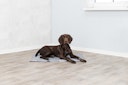 Vorschaubild TRIXIE Kühlmatte Soft grau XL/2: 90x60cm