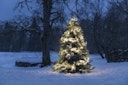 Konstsmide Weihnachtsbeleuchtung  Micro LED Büschellichterkette 2016 warmweiß Dioden