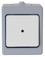 Kopp Kontrollschalter AP-Feuchtraum STANDARD beleuchtet, grau
