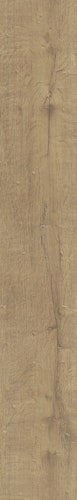 Meister Laminatboden MeisterDesign. laminate LD 55 1288 x 198 x 7 mm 06952 Stieleiche natur Porensynchron-Struktur Bild